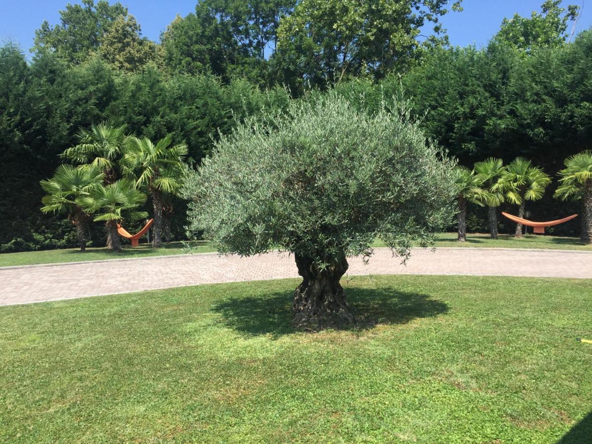 Villa Althea Ronago Esterno foto