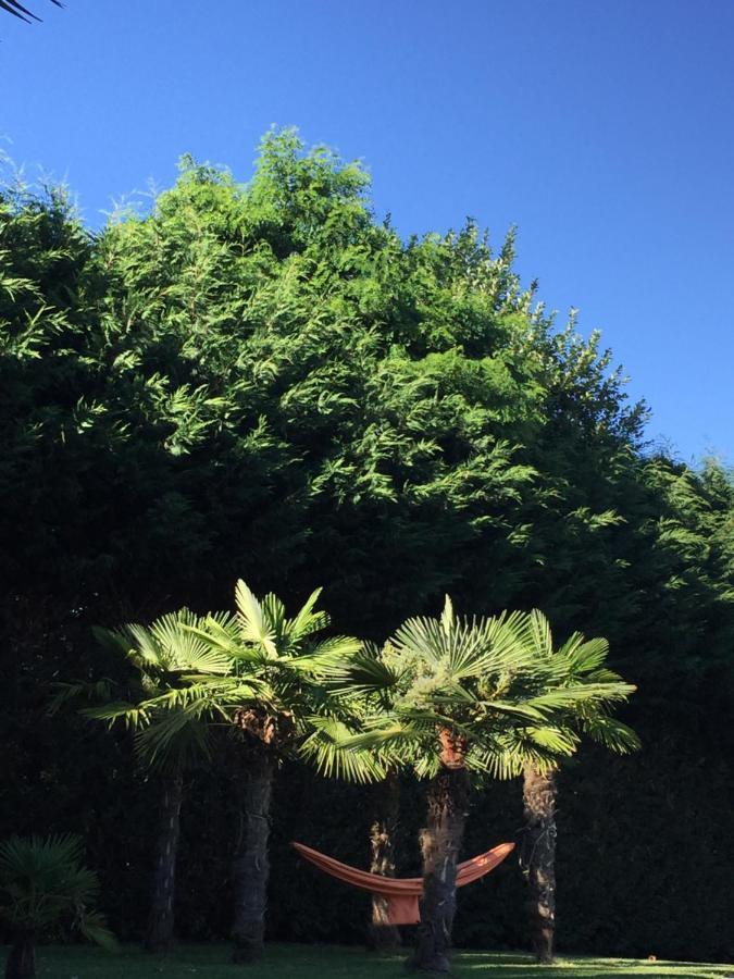 Villa Althea Ronago Esterno foto